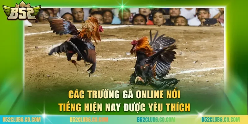 Các trường gà online nổi tiếng hiện nay được yêu thích