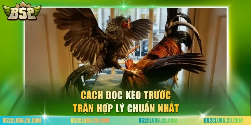 Cách đọc kèo trước trận hợp lý chuẩn nhất