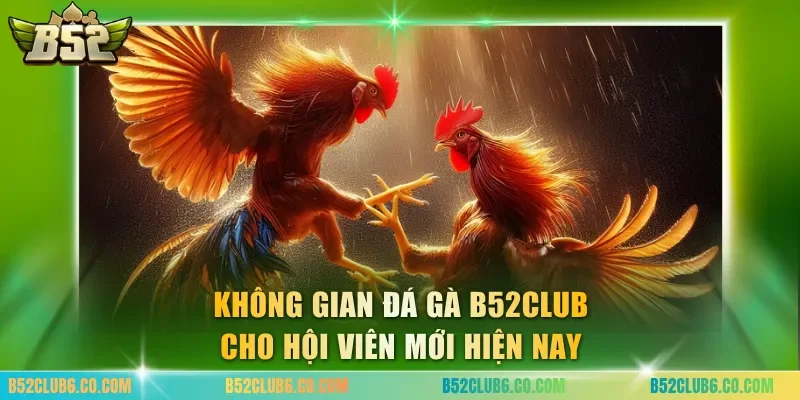 Không gian đá gà B52club cho hội viên mới hiện nay