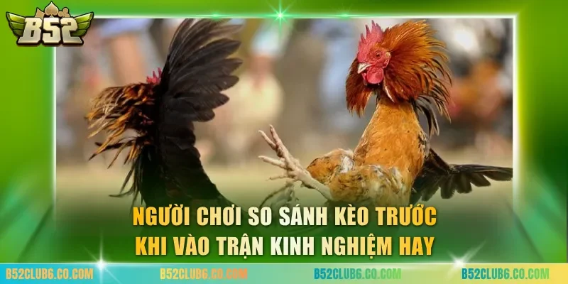 Người chơi so sánh kèo trước khi vào trận kinh nghiệm hay