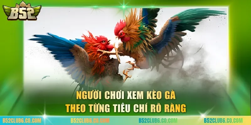 Người chơi xem kèo gà theo từng tiêu chí rõ ràng