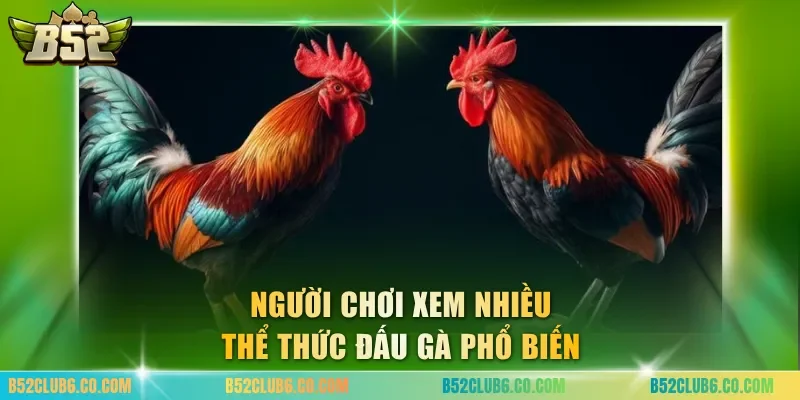 Người chơi xem nhiều thể thức đấu gà phổ biến