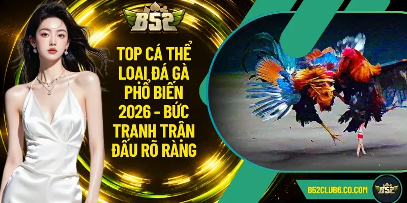 Top Cá Thể Loại Đá Gà Phổ Biến 2026 - Bức Tranh Trận Đấu Rõ Ràng