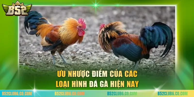 Ưu nhược điểm của các loại hình đá gà hiện nay