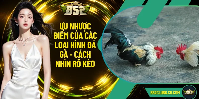 Ưu Nhược Điểm Của Các Loại Hình Đá Gà - Cách Nhìn Rõ Kèo